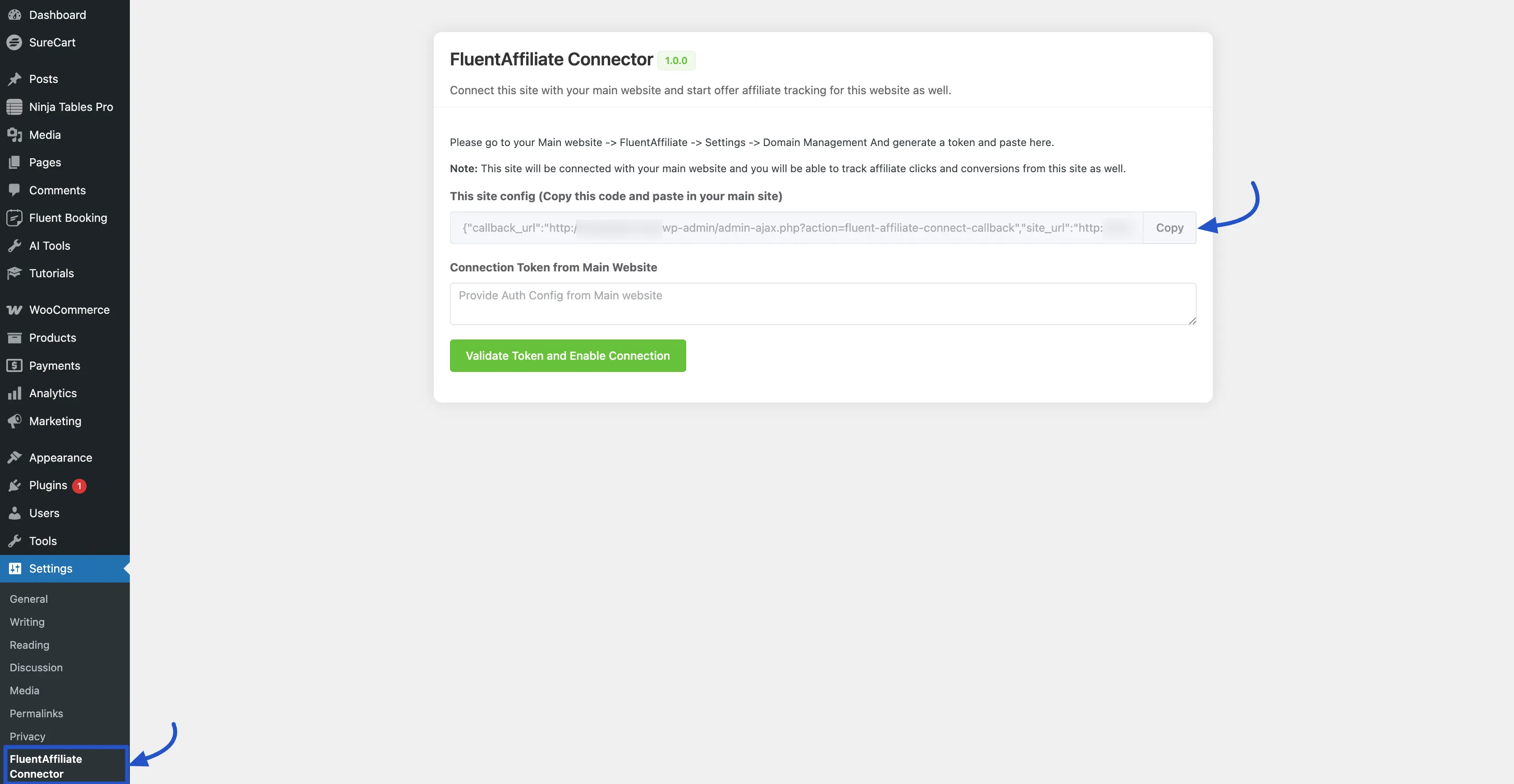 Config JSON